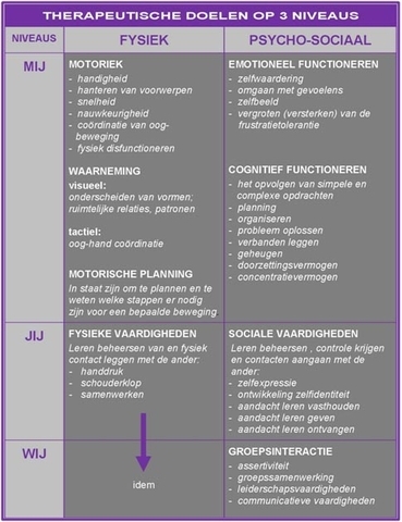 THERAPEUTISCHE_DOELEN_OP_3_NIVEAUS.jpg
